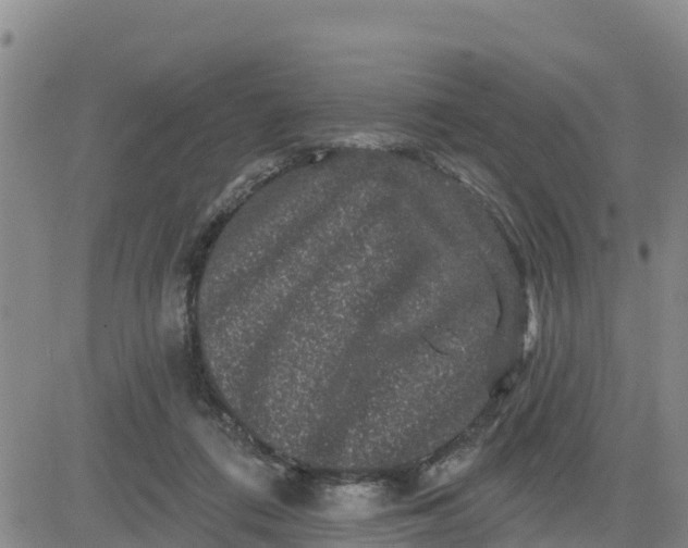 X0000080690312200612301456