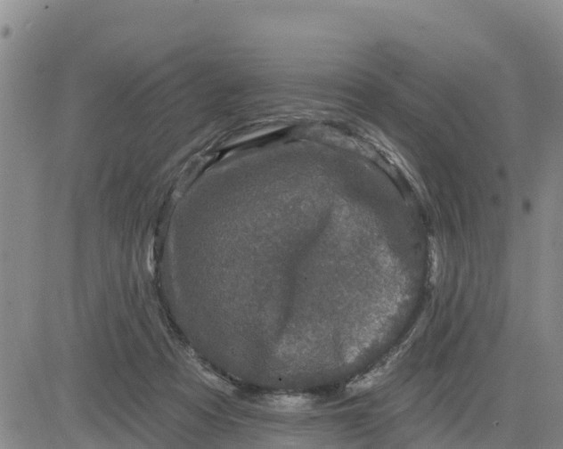 X0000080690313200612301456