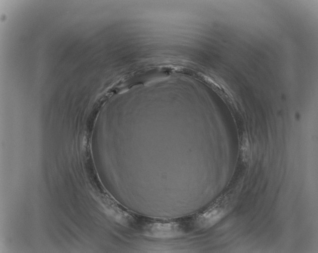 X0000080690314200612301456