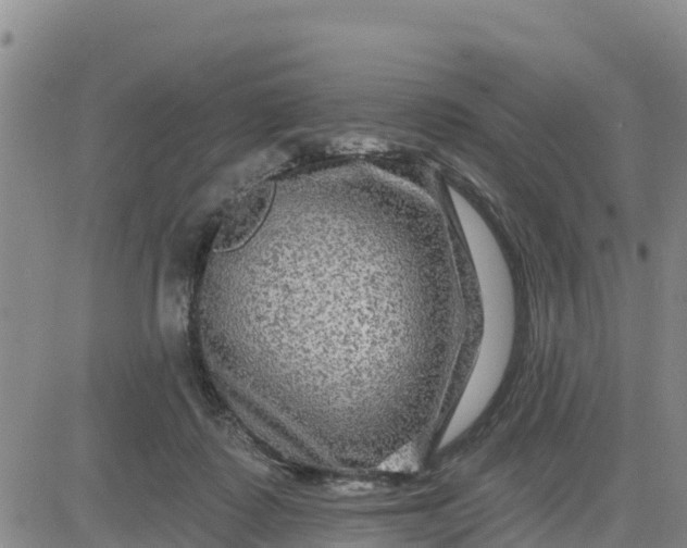 X0000080690315200612301456