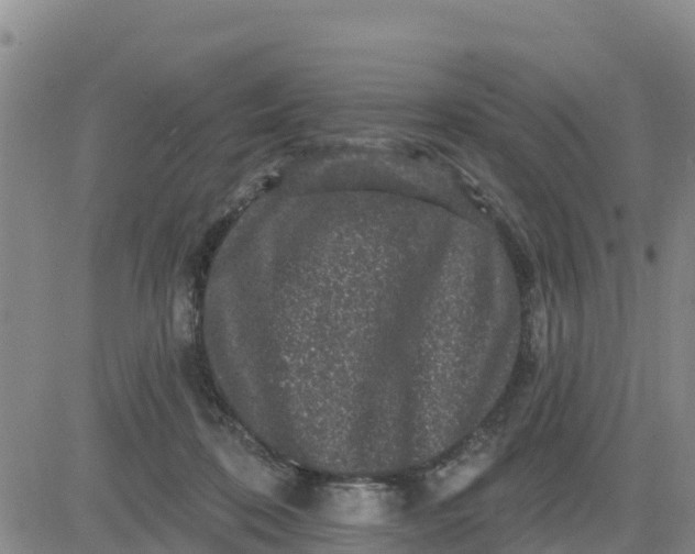 X0000080690316200612301456