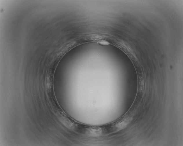 X0000080690317200612301456