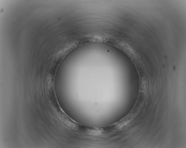 X0000080690318200612301456