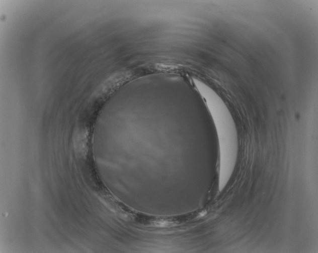 X0000080690319200612301456