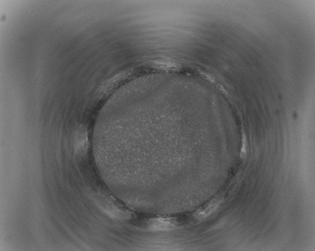 X0000080690320200612301456