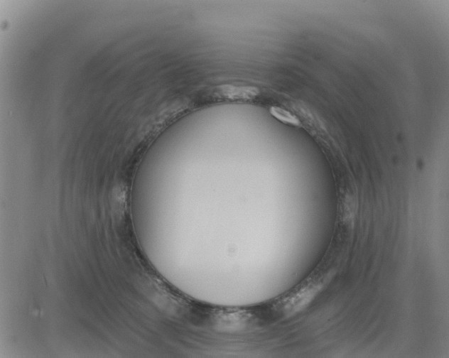 X0000080690321200612301456