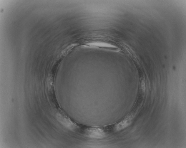 X0000080690322200612301456