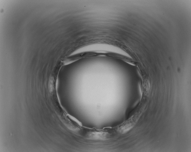 X0000080690323200612301456