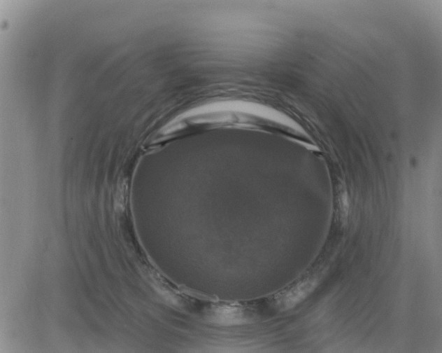 X0000080690325200612301456