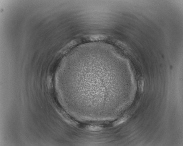 X0000080690327200612301456