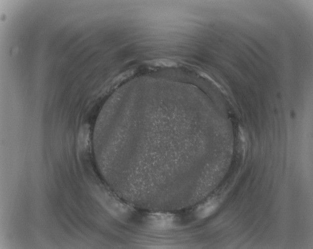 X0000080690328200612301456