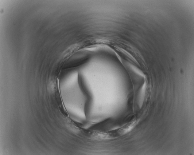 X0000080690329200612301456