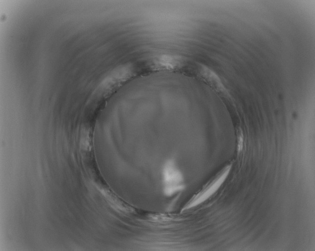 X0000080690331200612301456