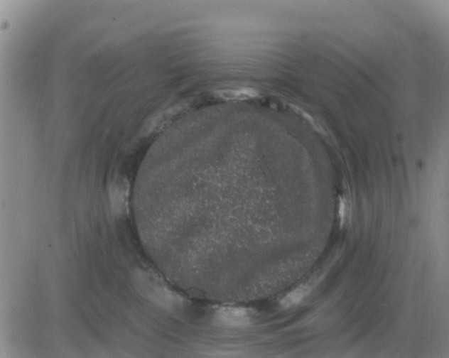 X0000080690332200612301455