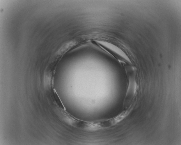 X0000080690333200612301455