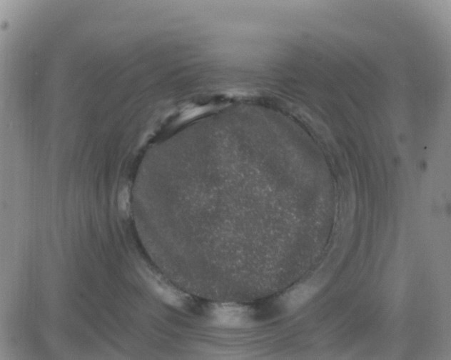 X0000080690336200612301455