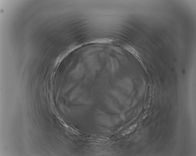 X0000080690337200612301455