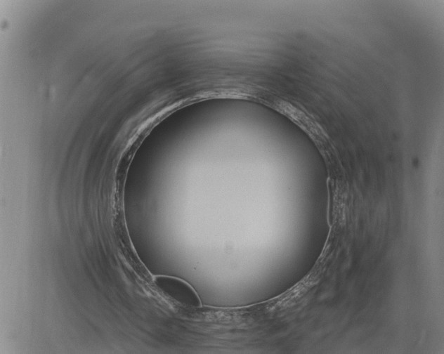 X0000080690338200612301455