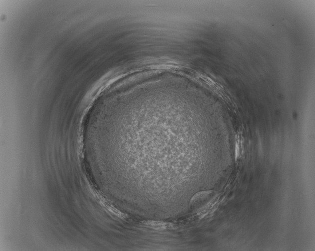 X0000080690339200612301455