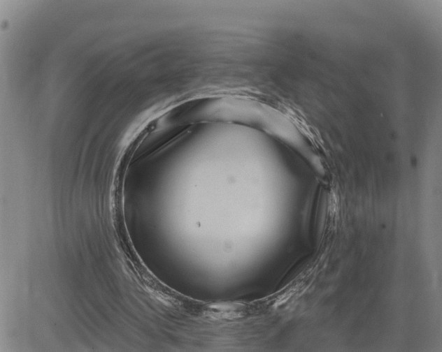 X0000080690340200612301455