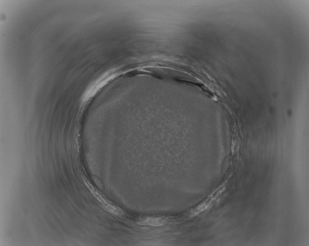 X0000080690341200612301455