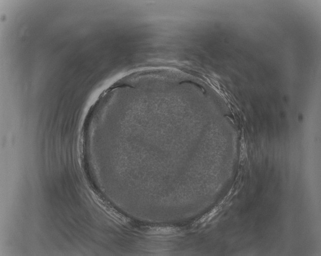 X0000080690342200612301455