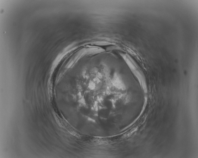 X0000080690343200612301455