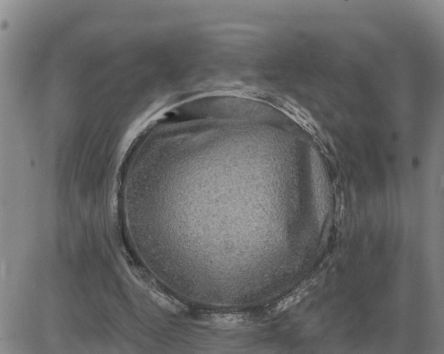 X0000080690344200612301455