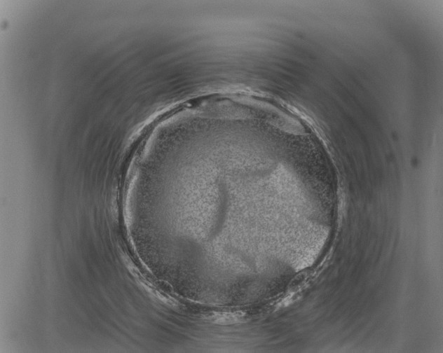 X0000080690345200612301455