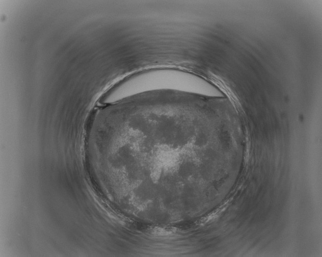 X0000080690346200612301455