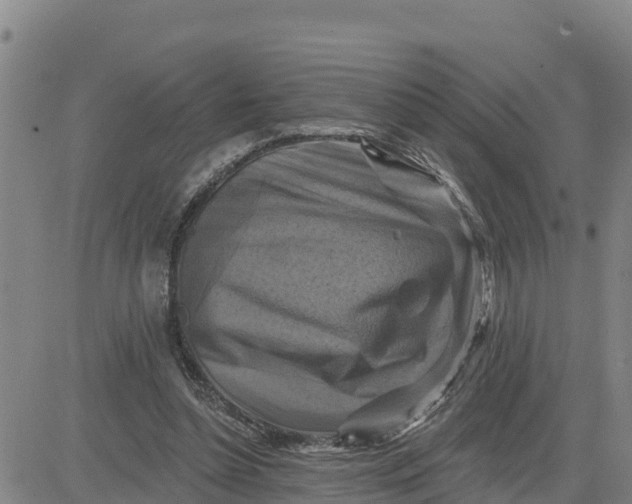 X0000080690348200612301455