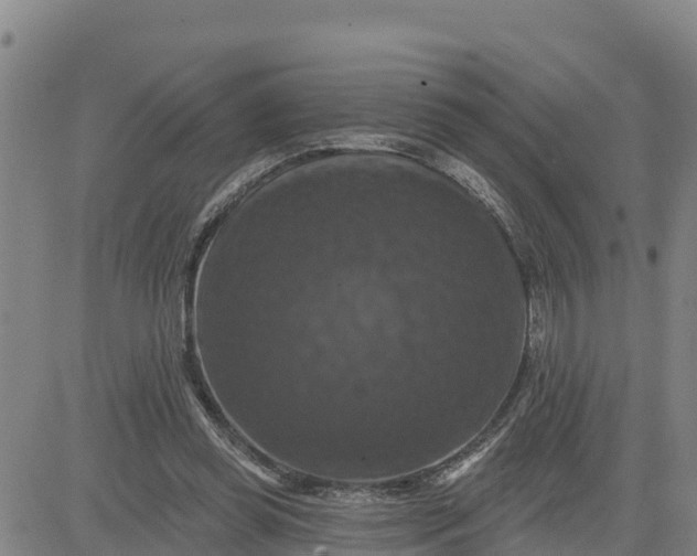 X0000080690349200612301455