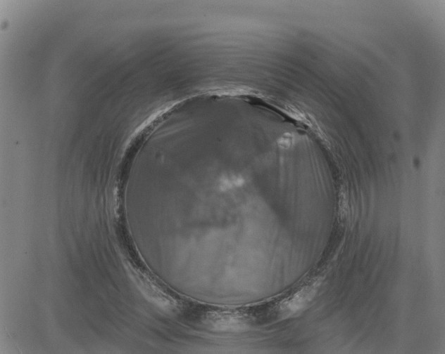 X0000080690351200612301455