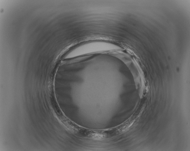 X0000080690352200612301455