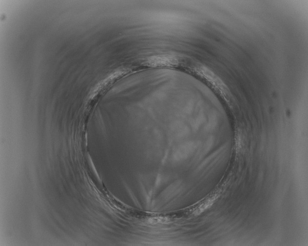 X0000080690353200612301455