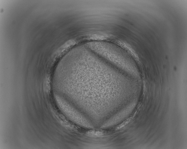 X0000080690354200612301455