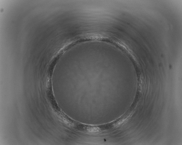 X0000080690355200612301455