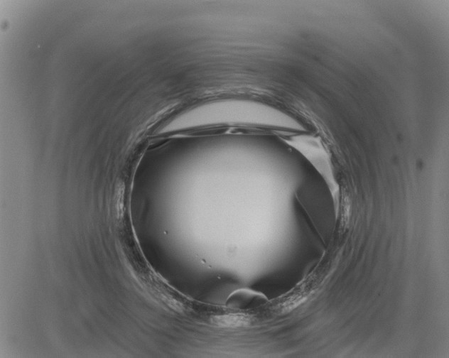 X0000080690356200612301455