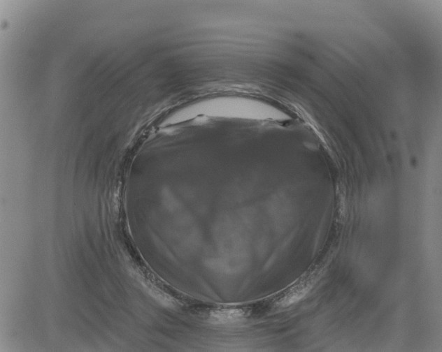 X0000080690357200612301455