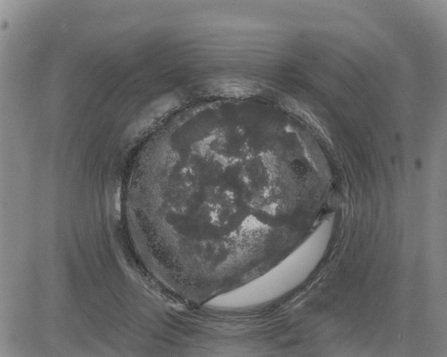 X0000080690358200612301455