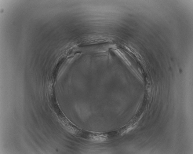 X0000080690359200612301455