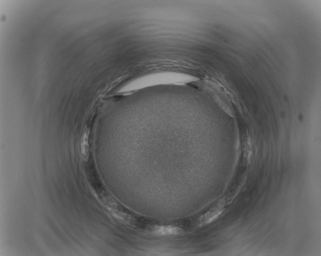 X0000080690360200612301455