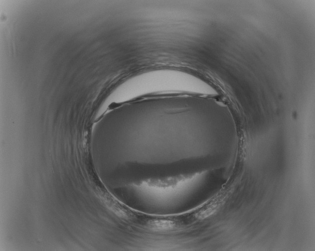 X0000080690361200612301455