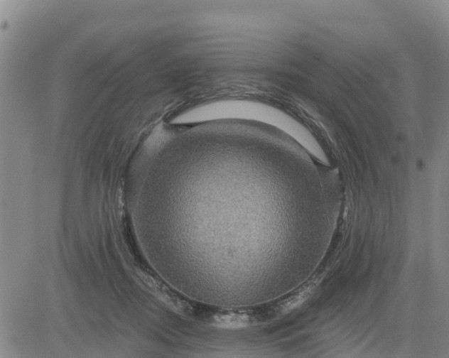 X0000080690362200612301455