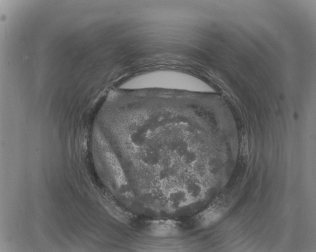 X0000080690363200612301455