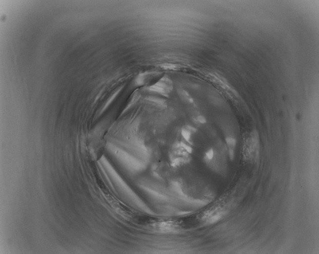 X0000080690365200612301455