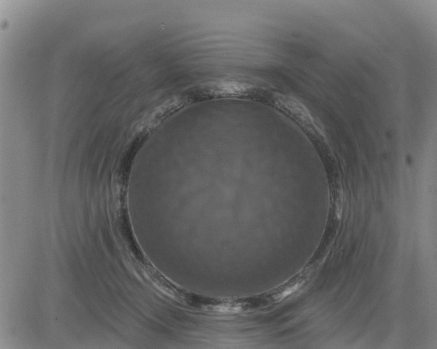 X0000080690366200612301455