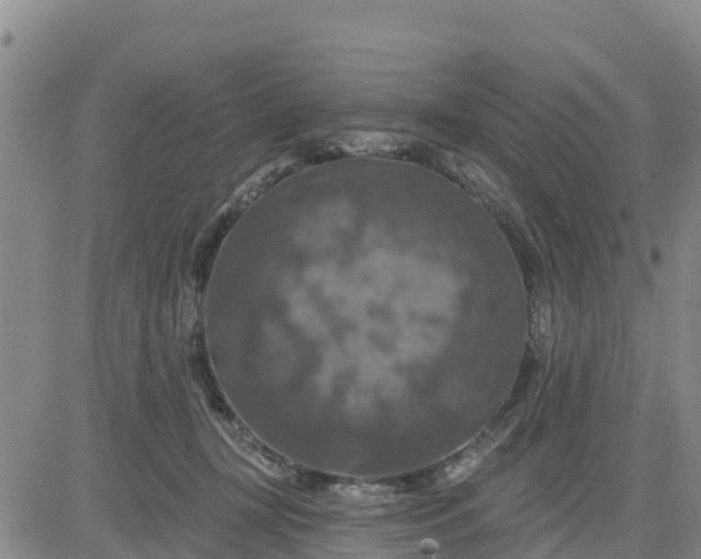 X0000080690367200612301455