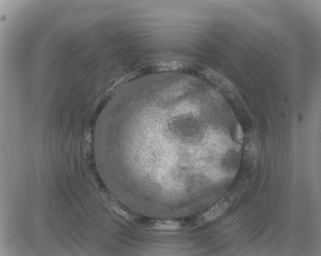 X0000080690369200612301455