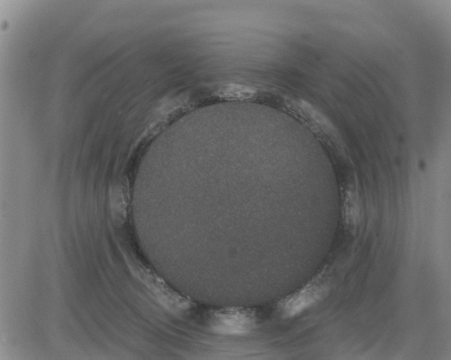 X0000080690370200612301455